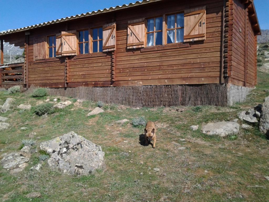 Les Chalets De Lozzi Calacuccia Ngoại thất bức ảnh