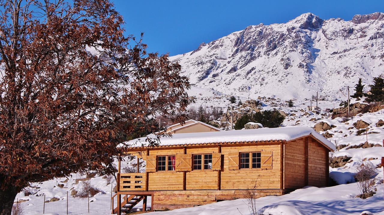 Les Chalets De Lozzi Calacuccia Ngoại thất bức ảnh