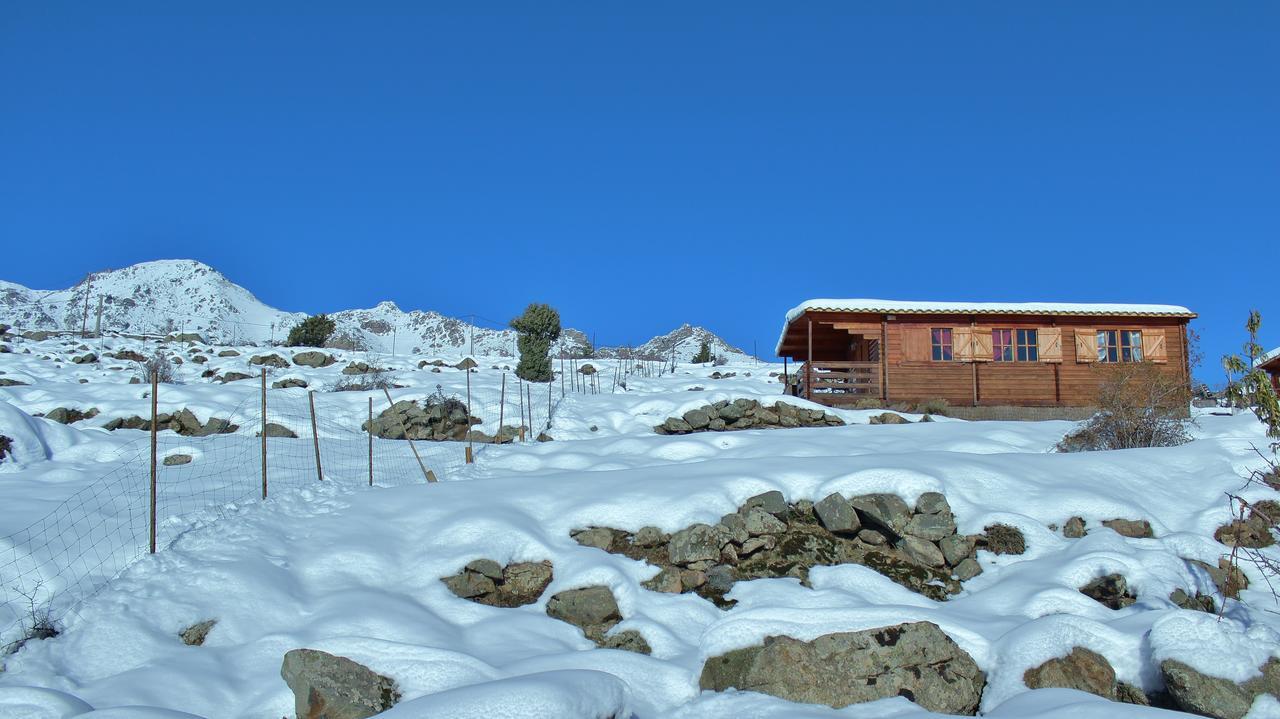 Les Chalets De Lozzi Calacuccia Ngoại thất bức ảnh