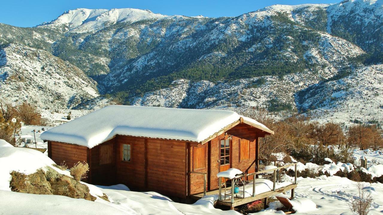 Les Chalets De Lozzi Calacuccia Ngoại thất bức ảnh
