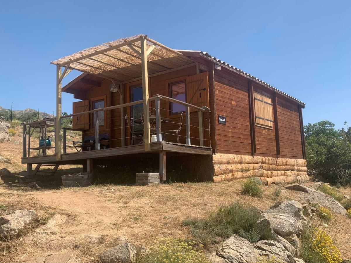Les Chalets De Lozzi Calacuccia Ngoại thất bức ảnh